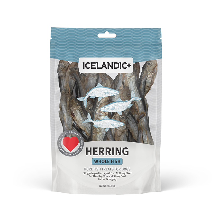 Exclusive Mockups for Branding and Packaging Design